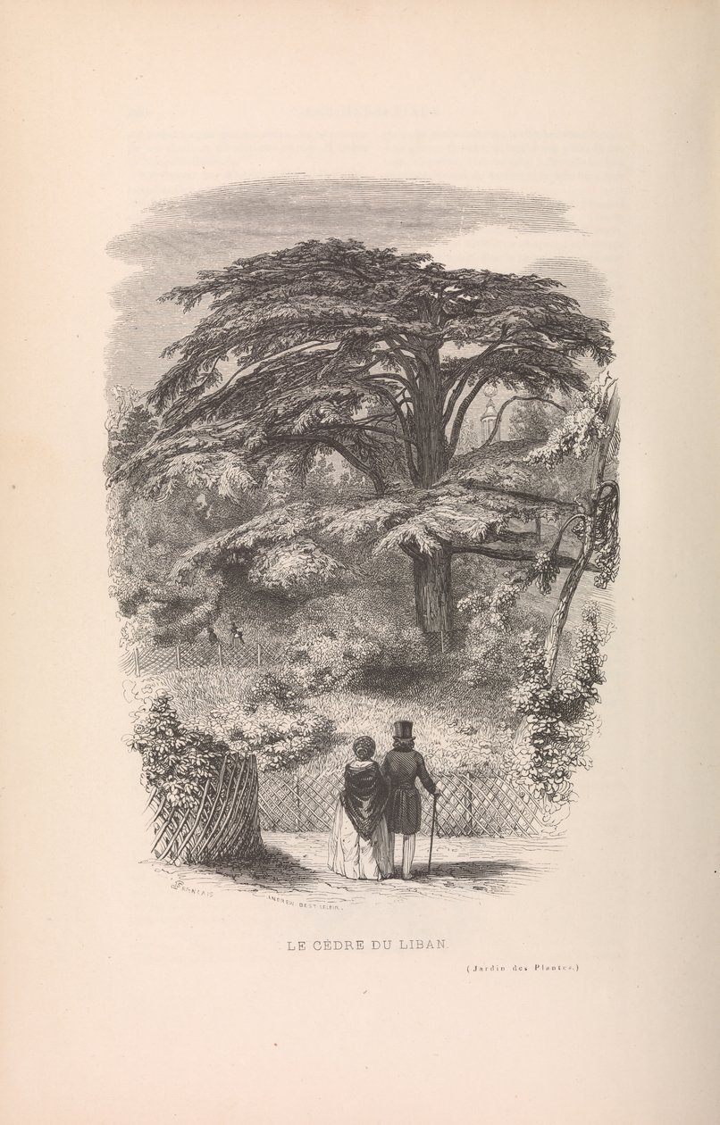 Kasvitieteellinen puutarha, Nisäkkäiden kuvaukset ja tavat, 1842. tekijältä Francois Boitard