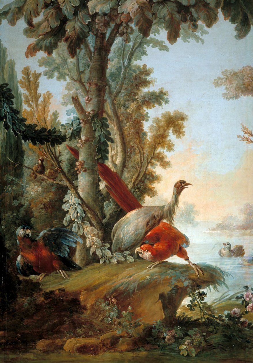 Francois Boucherin maalaus haikaroista ja papukaijoista (1703-1770) tekijältä François Boucher