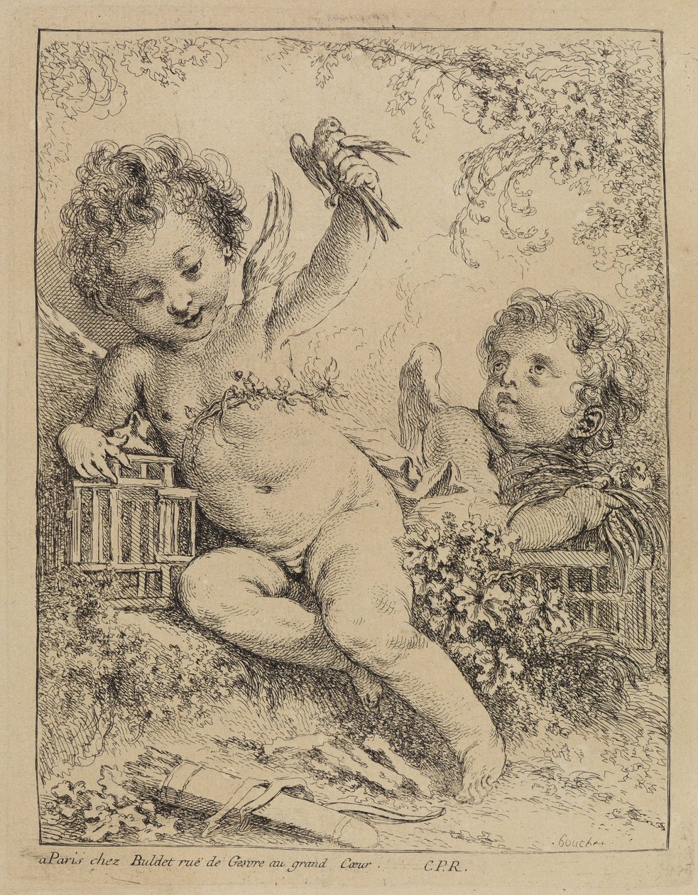 Häkkiin suljettu kyyhkynen tekijältä François Boucher