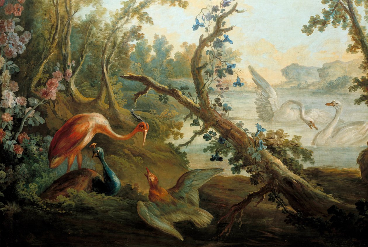 Joutsenet ja riikinkukot François Boucherin (1703-1770) maalaus 1700-luvun Pariisi, Musee Carnavalet tekijältä François Boucher
