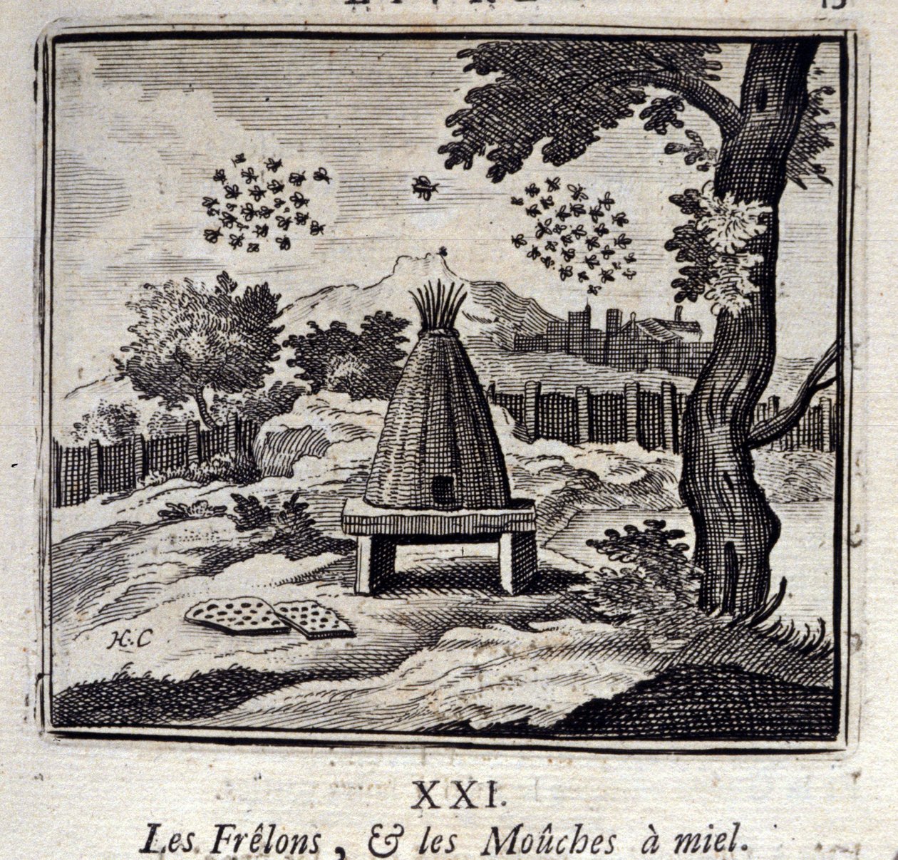 Hornetit ja hunajakärpäset. Jean de La Fontainen (1621-95) sadut. Kuvitus: Francois Chauveau (1613-1676). Painos vuodelta 1728. tekijältä Francois Chauveau