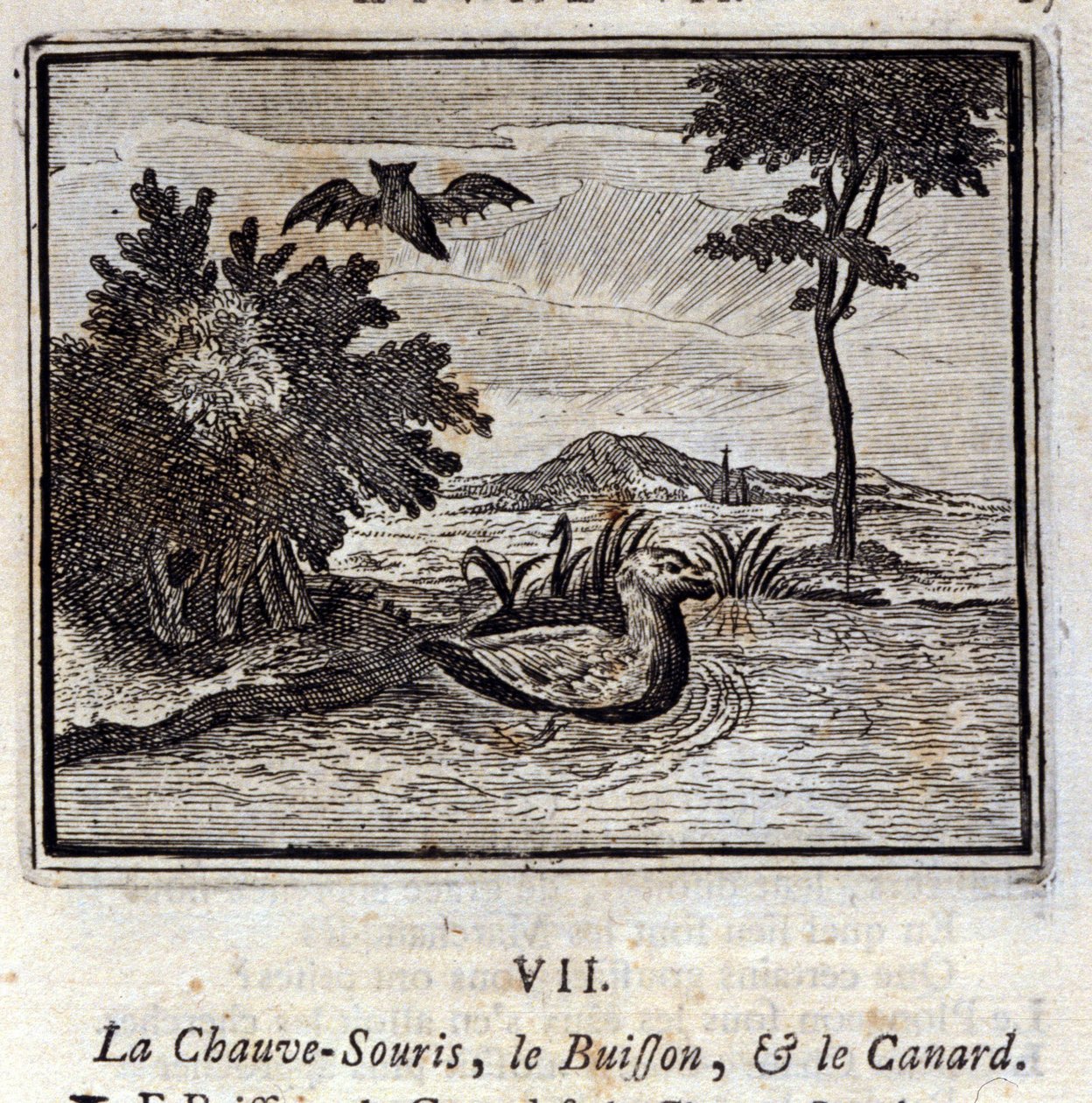 Lepakko, pensas ja ankka. Jean de La Fontainen (1621-95) sadut. Kuvitus: François Chauveau (1613-1676). Painos vuodelta 1728. tekijältä Francois Chauveau