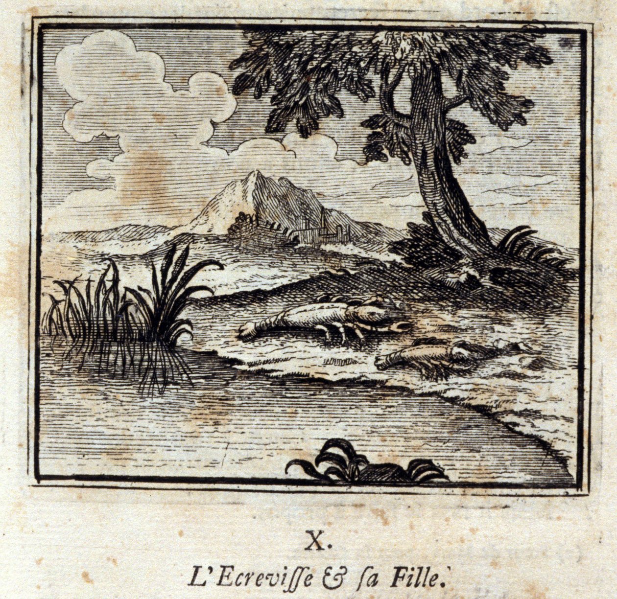 Crevisse ja hänen tyttärensä. Jean de La Fontainen (1621-95) sadut. Kuvitus: François Chauveau (1613-1676). Painos vuodelta 1728. tekijältä Francois Chauveau