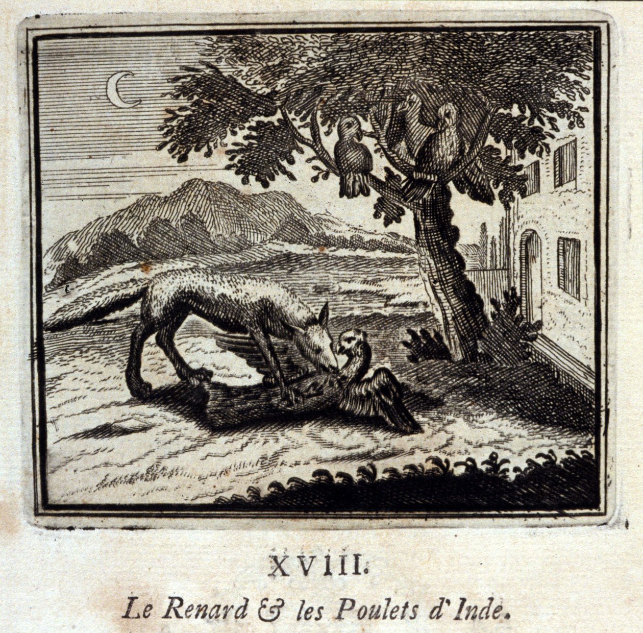 Kettu ja Intian kanat. Jean de La Fontainen (1621-95) sadut. Kuvitus: François Chauveau (1613-1676). Painos vuodelta 1728. tekijältä Francois Chauveau