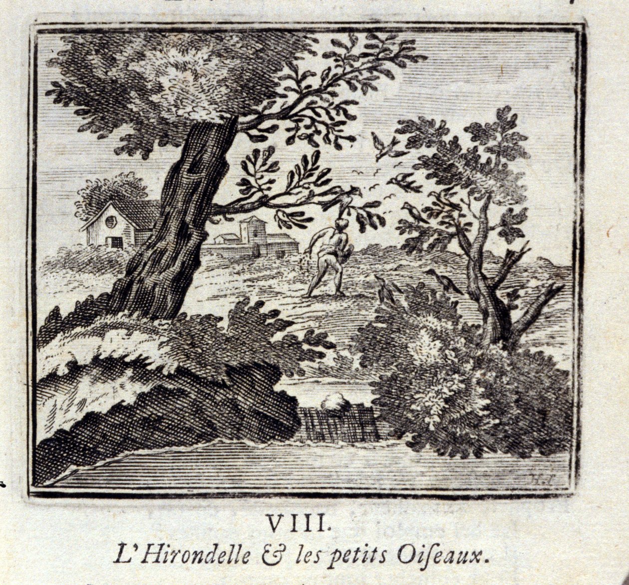 Pääskynen ja pienet linnut. Jean de La Fontainen (1621-95) sadut. Kuvitus: François Chauveau (1613-1676). Painos vuodelta 1728. tekijältä Francois Chauveau