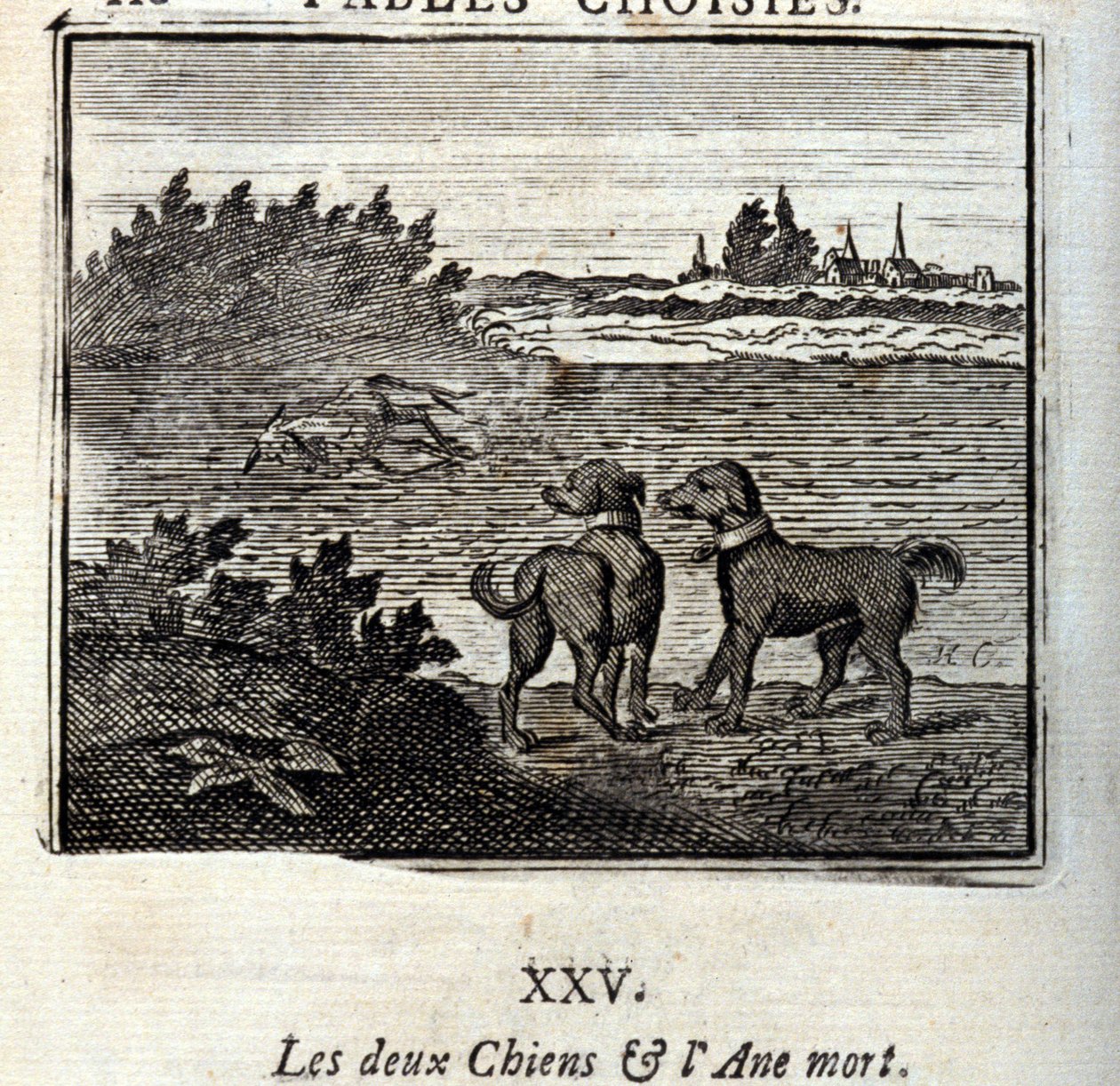 Kaksi koiraa ja kuollut aasi. Jean de La Fontainen (1621-95) sadut. Kuvitus: François Chauveau (1613-1676). Painos vuodelta 1728. tekijältä Francois Chauveau
