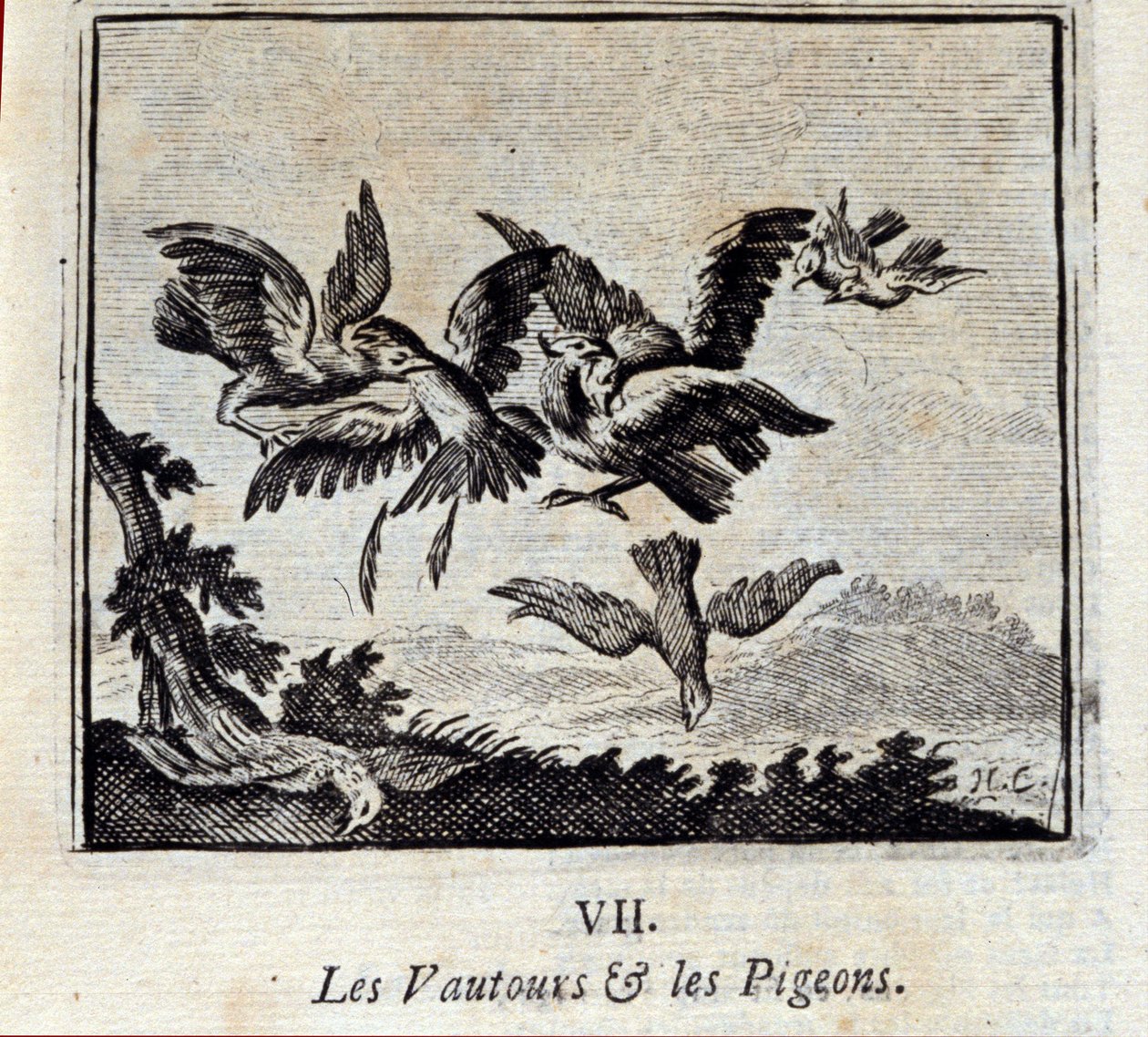 Korppikotkat ja kyyhkyset. Jean de La Fontainen (1621-95) sadut. Kuvitus: François Chauveau (1613-1676). Vuoden 1728 painos. tekijältä Francois Chauveau
