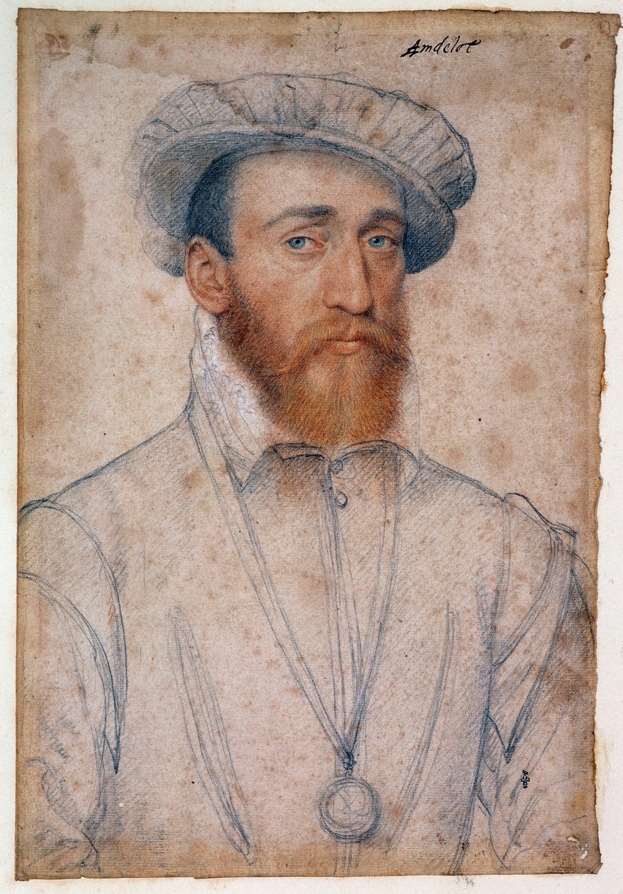 Muotokuva Francois de Colignysta, Andelotin herrasta (1521 - 1569). Clouet Francois