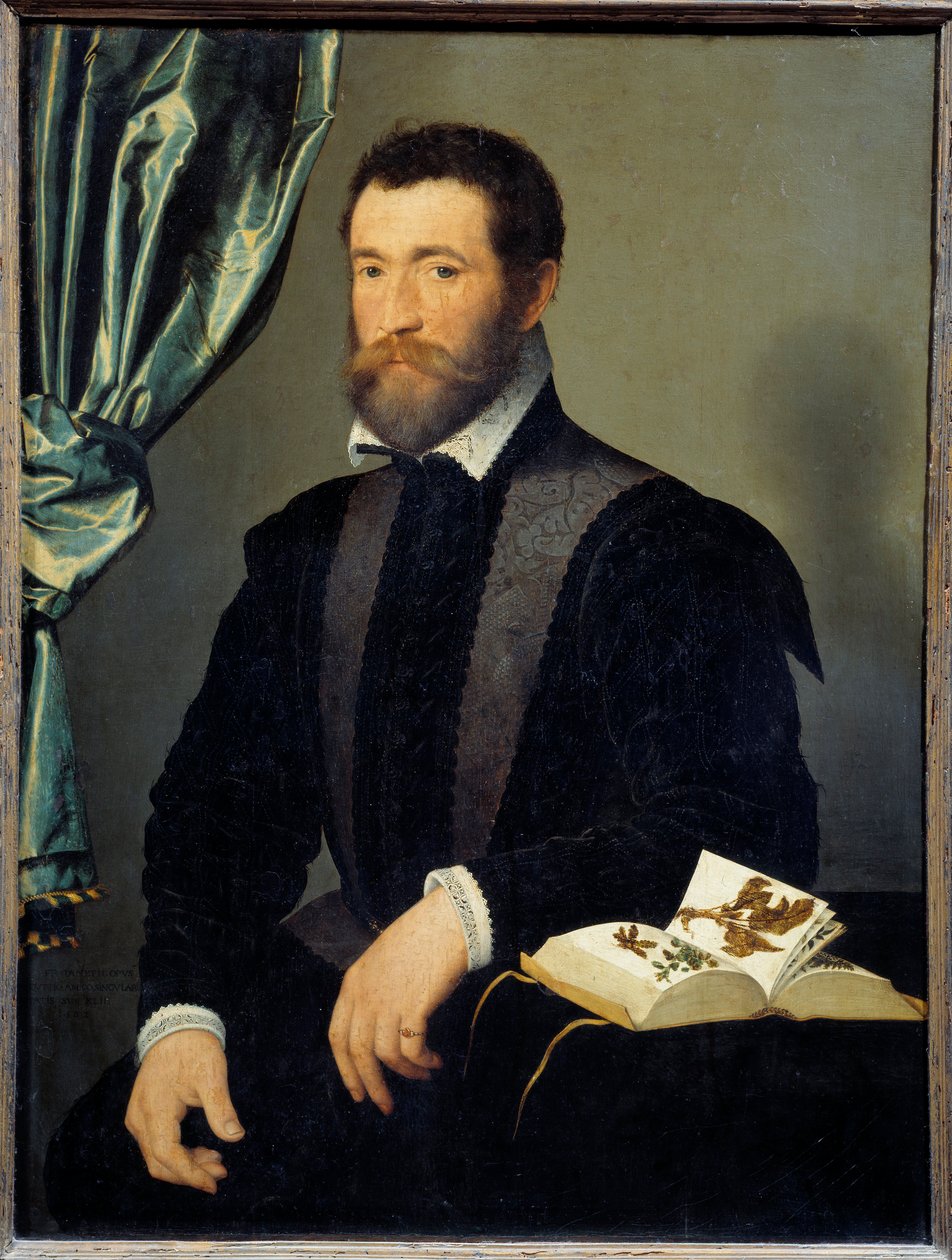 Muotokuva apteekki Pierre Quthesta (1519-apres 1588) François Clouet