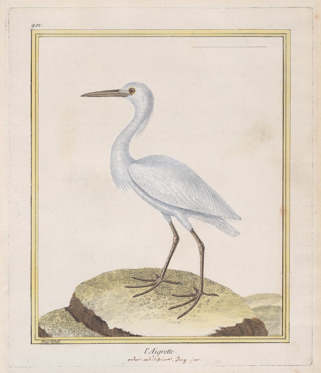 Egret Egret, 1770-86. tekijältä Francois Nicolas Martinet