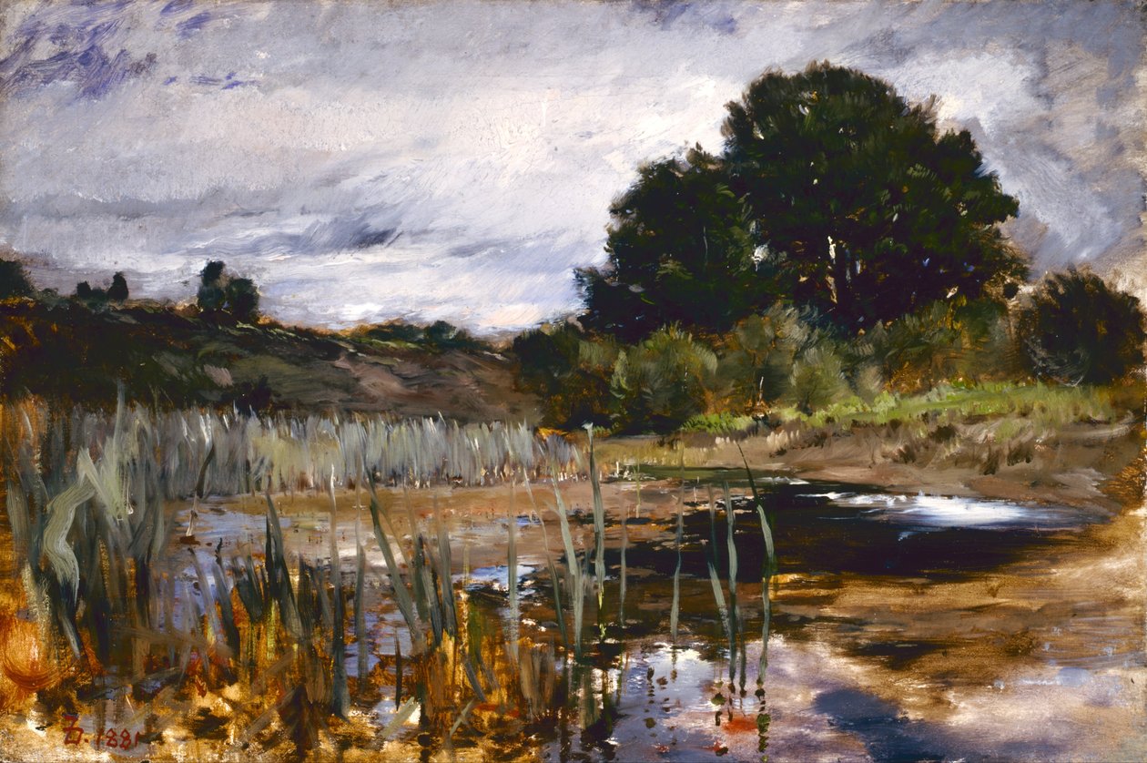Polling Landscape tekijältä Frank Duveneck
