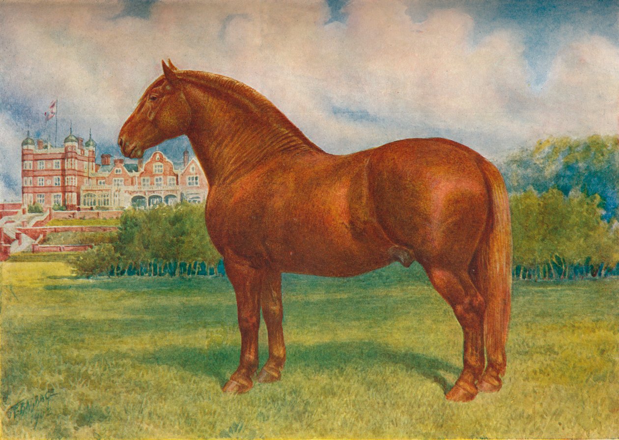 Suffolkin isä Prince Wedgwood, c1902 c1910 tekijältä Frank Babbage