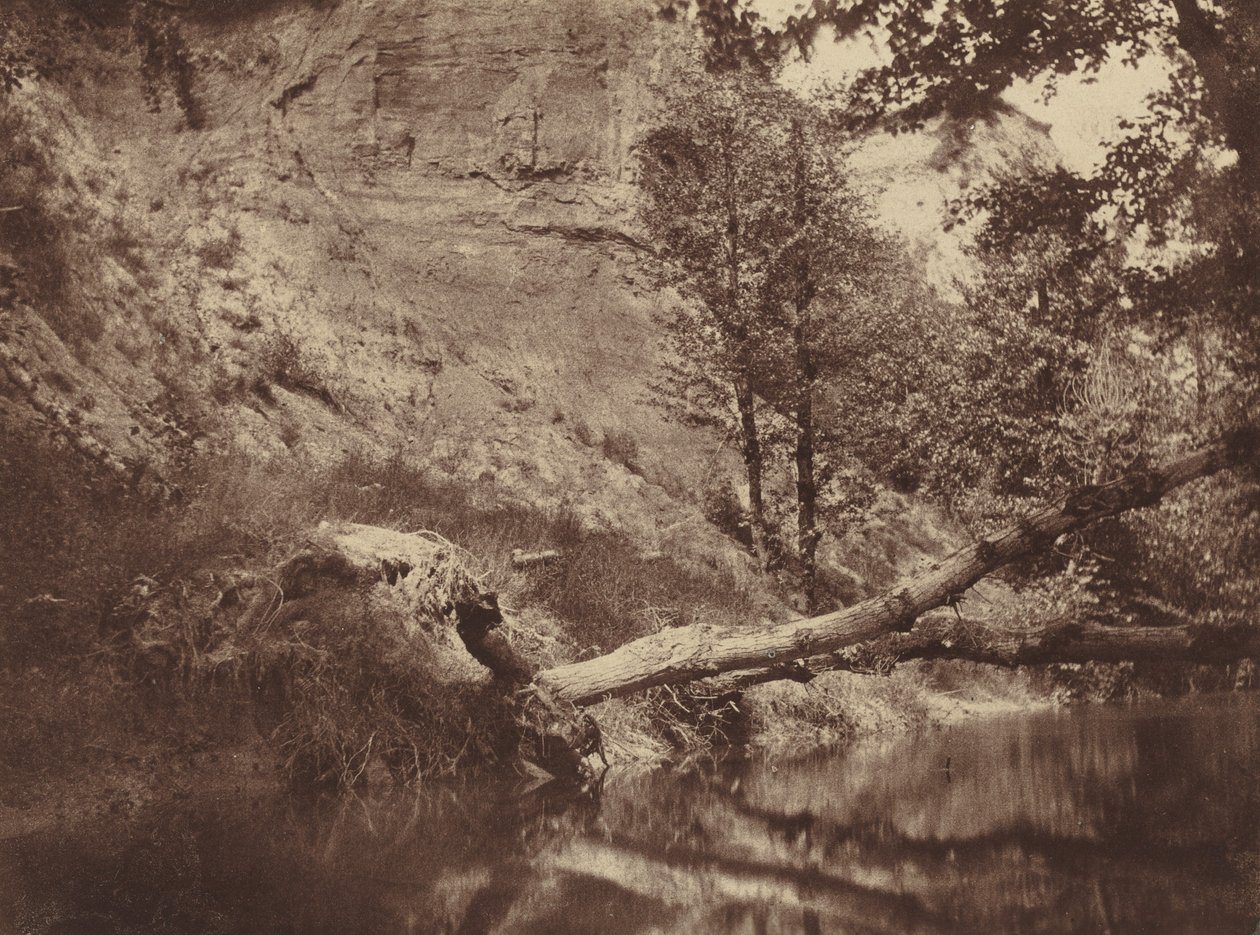 Riverbank,c. 1855 (kuva) tekijältä Frank Chauvassaigne