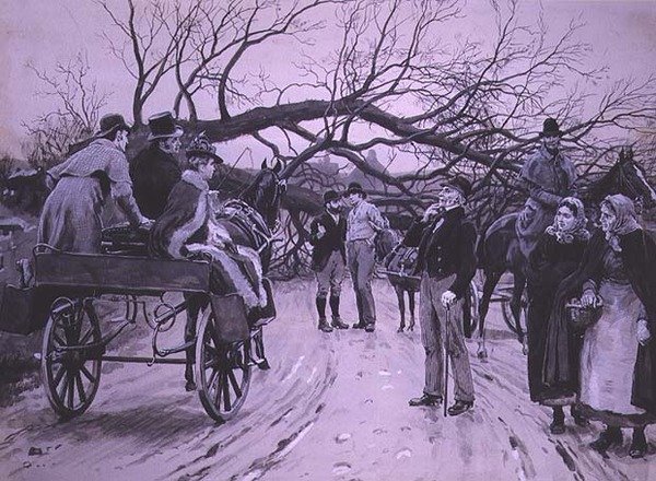 Kaatunut puu tekijältä Frank Dadd