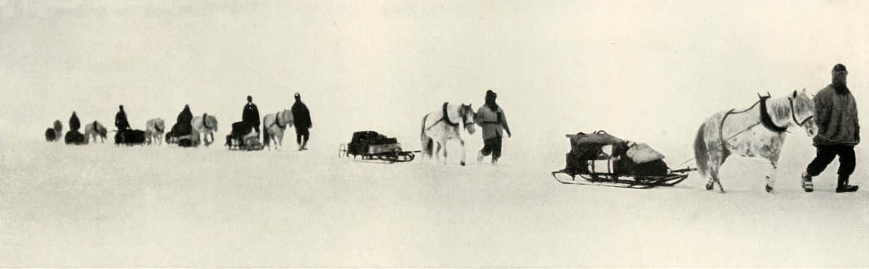 Ponit maaliskuussa 1911, 1913 tekijältä Frank Debenham