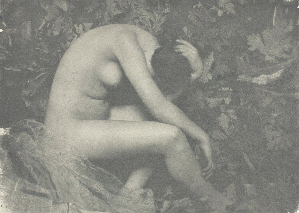 Cicada, 1898. tekijältä Frank Eugene