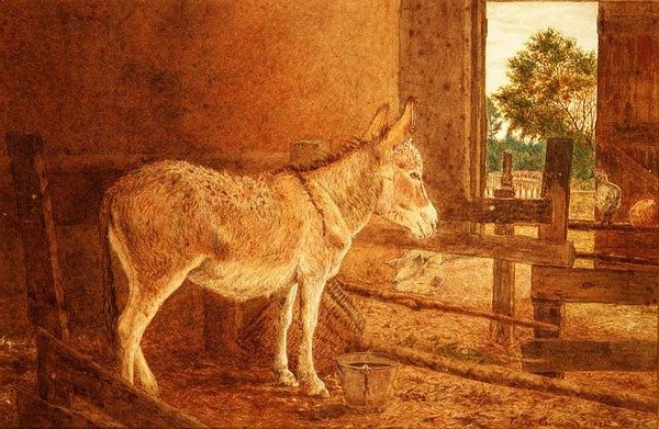 Ruskea tutkimus tekijältä Frank Goodwin