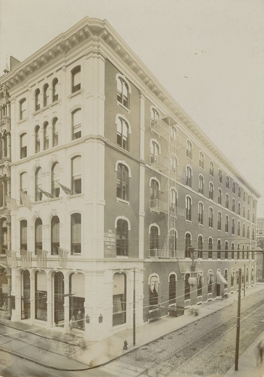 S.S. White Building (albumiprintti) tekijältä Frank Hamilton Taylor