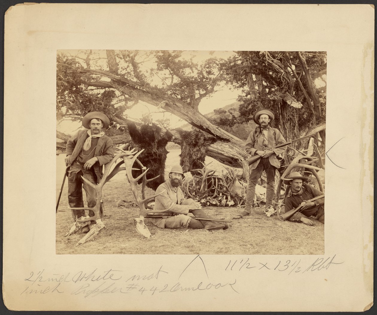 Lispenard Stewartin juhlat, #6 - 5th Ave., N.Y., trophyjen kanssa vanhan setripuun luona, Mammoth Hot Springs, Yellowstonen kansallispuisto. tekijältä Frank Jay Haynes