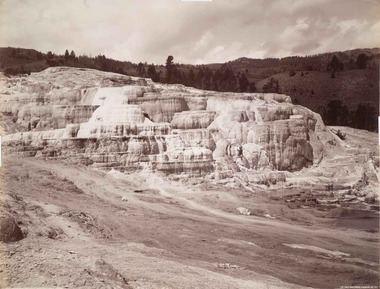 Minerva Terrace, Mammoth Hot Springs tekijältä Frank Jay Haynes