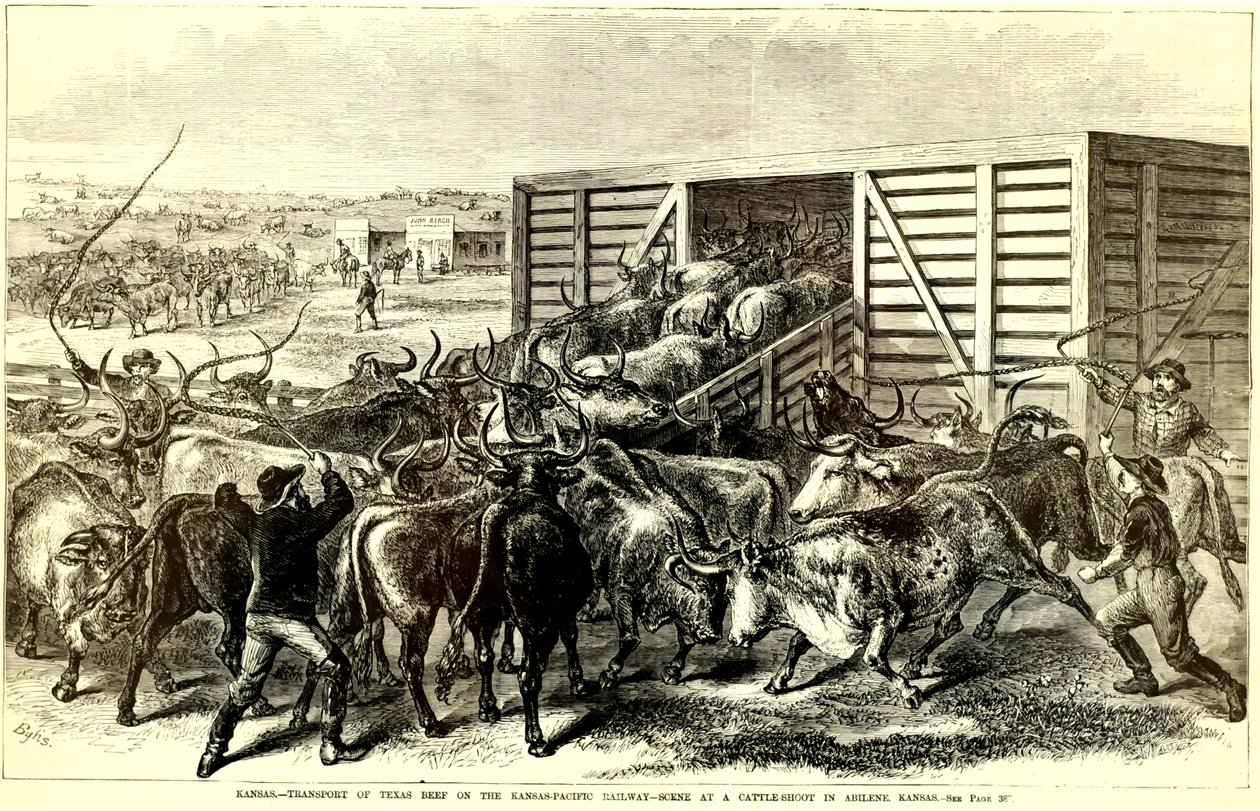 Cattle Chute Abilenessa, Kansasissa, n. 1871 (kaiverrus) tekijältä Frank Leslie