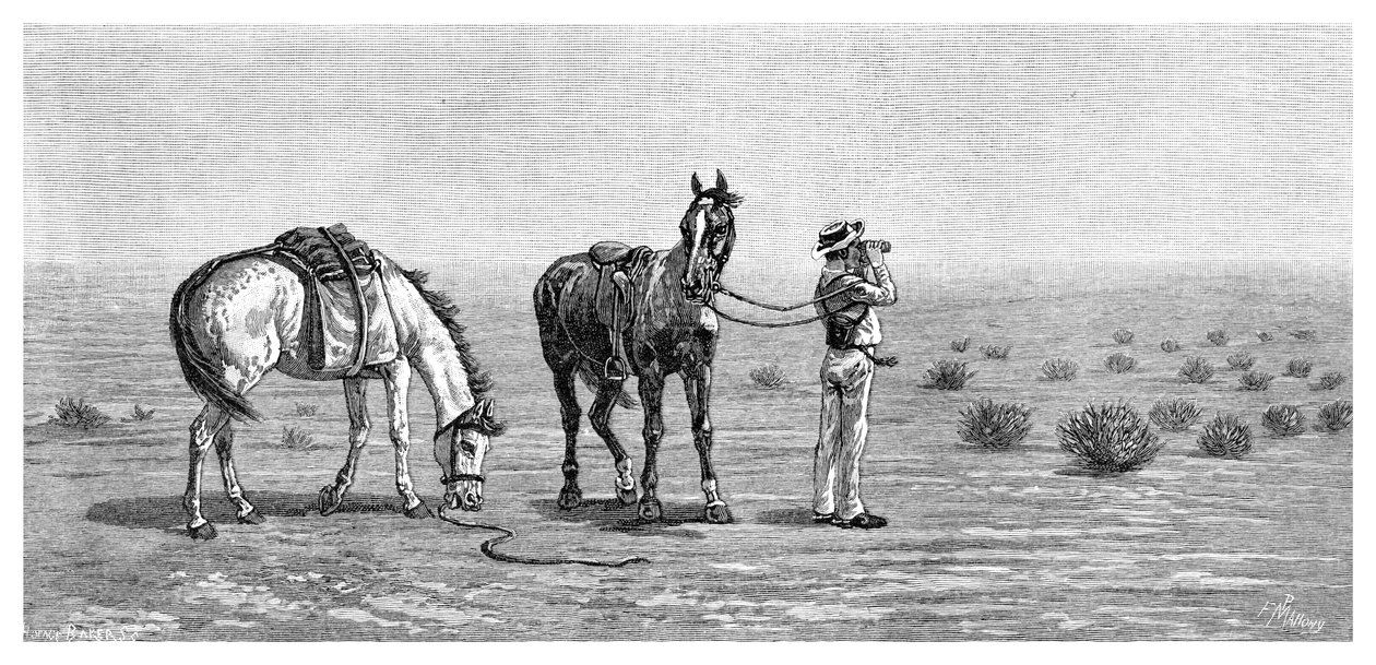 Ei mitään näköpiirissä, 1886. tekijältä Frank P. Mahony