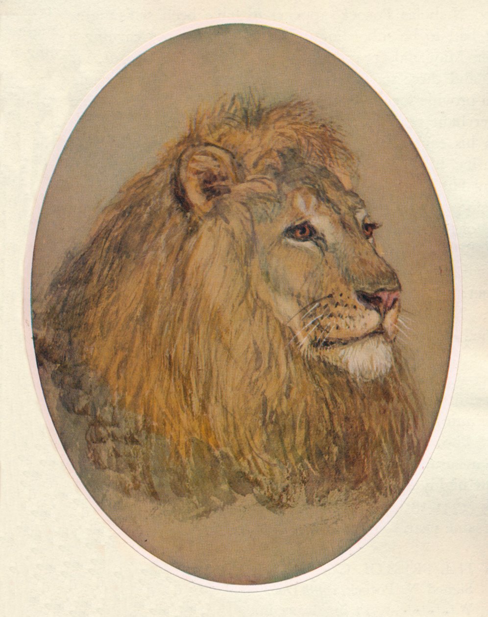 Lions Head, c1896 tekijältä Frank Paton