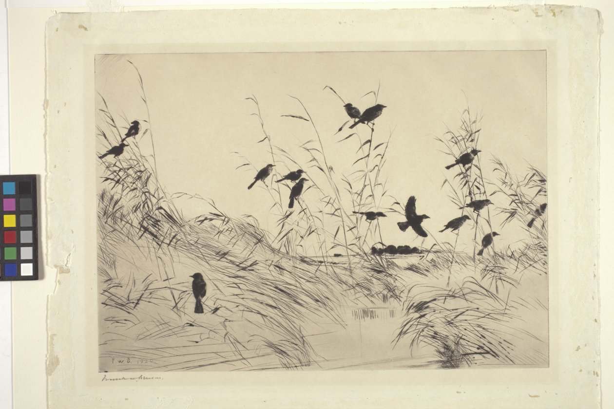 Blackbirds and Rushes (muste paperille) tekijältä Frank Weston Benson