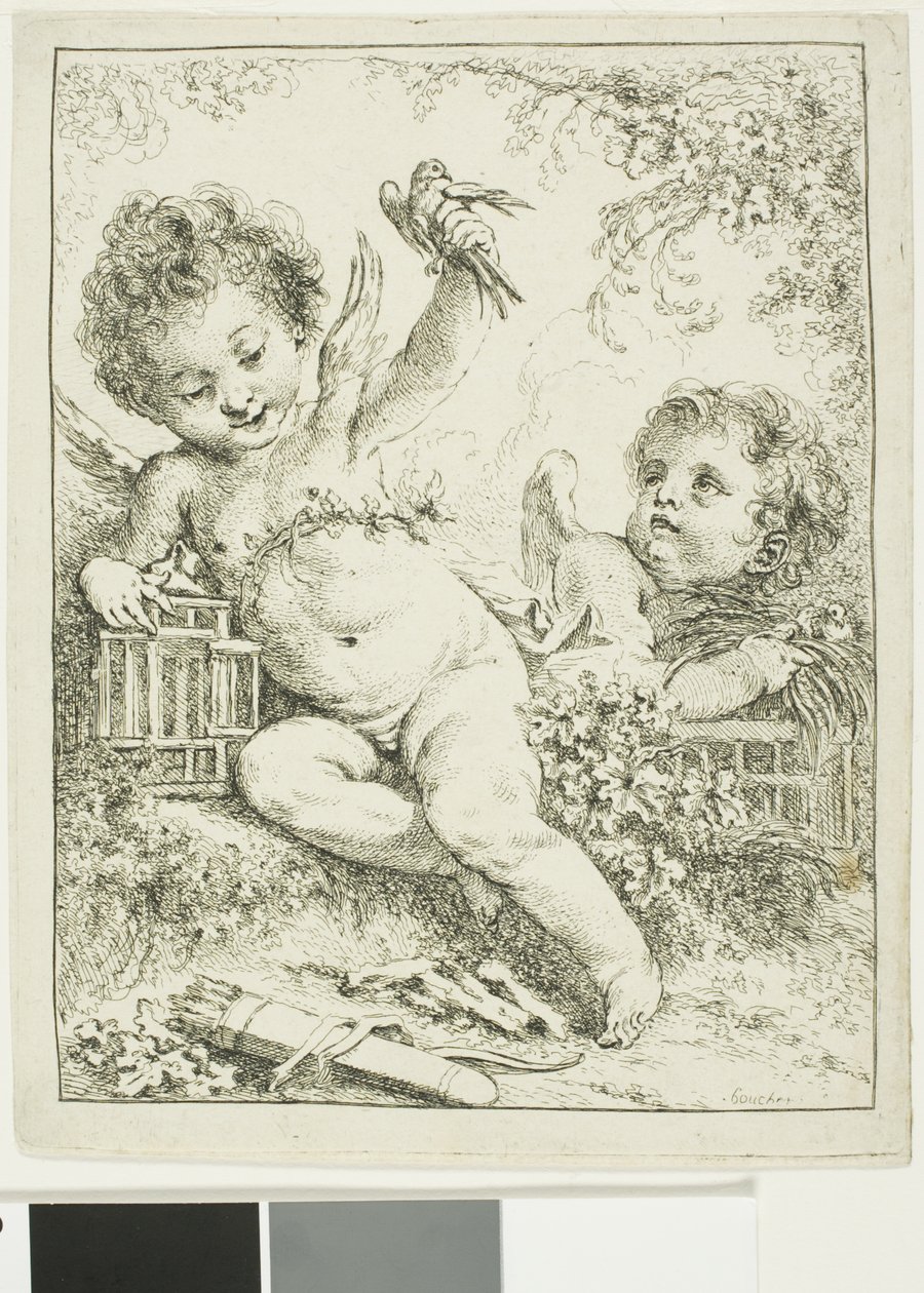 Kaksi puttia ja lintu tekijältä François Boucher