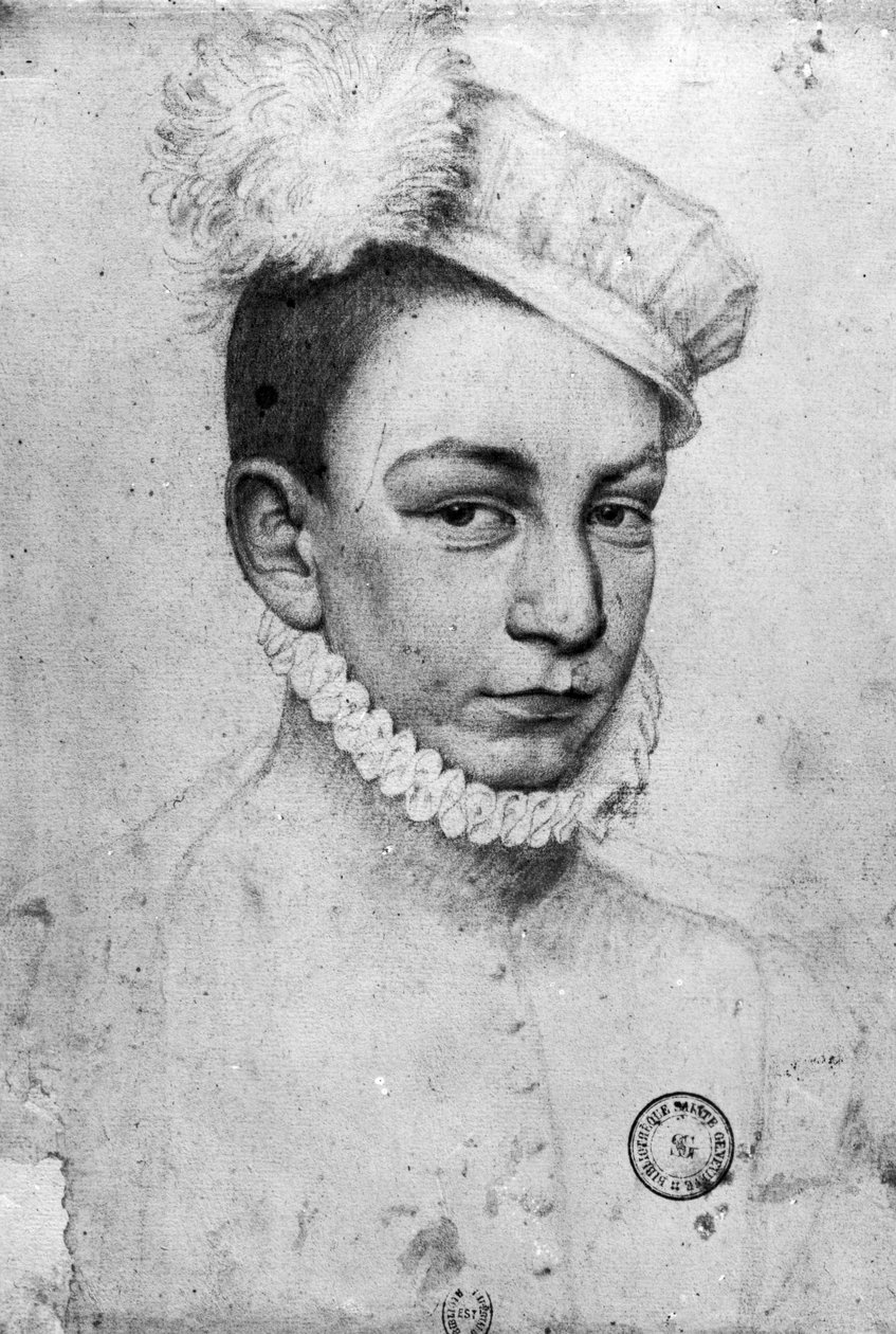 Ranskan kuninkaan Kaarle IX:n muotokuva, 1561 tekijältä François Clouet