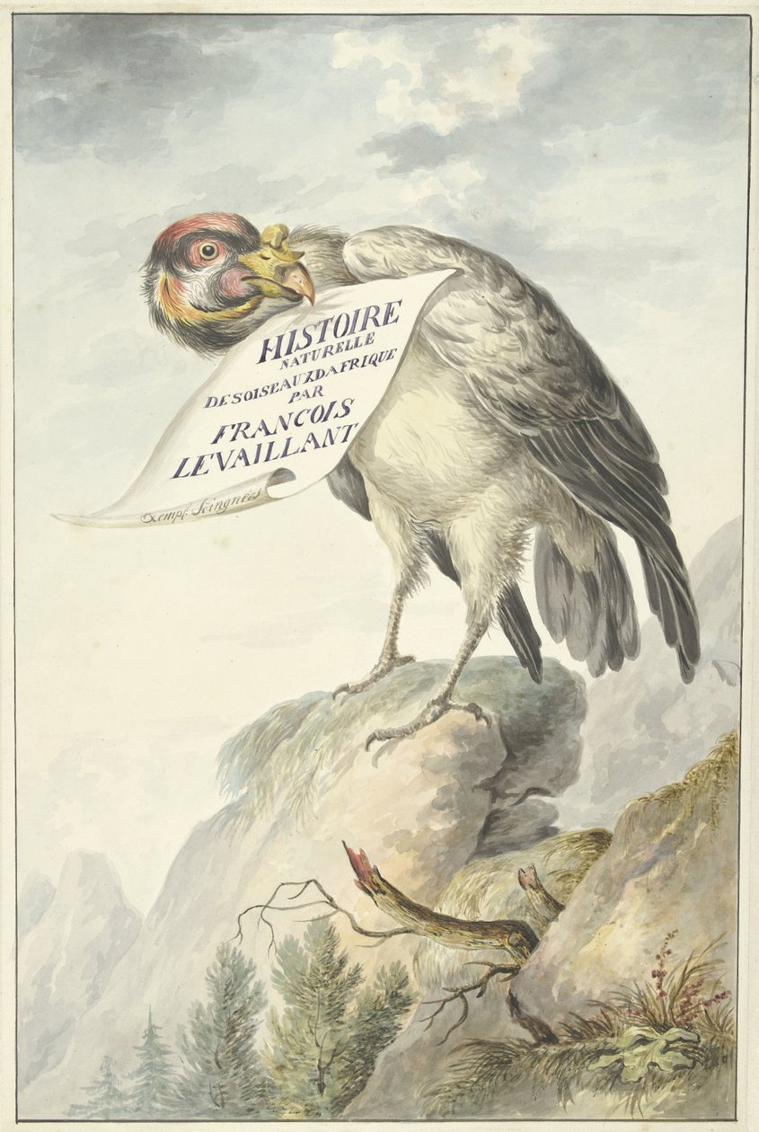Harjakorppikotka paperiarkki nokassaan HISTOIRE NATURELLE DES OISEAUX DAFRIQUE (otsikko esineessä) tekijältä François Levaillant (circle of)