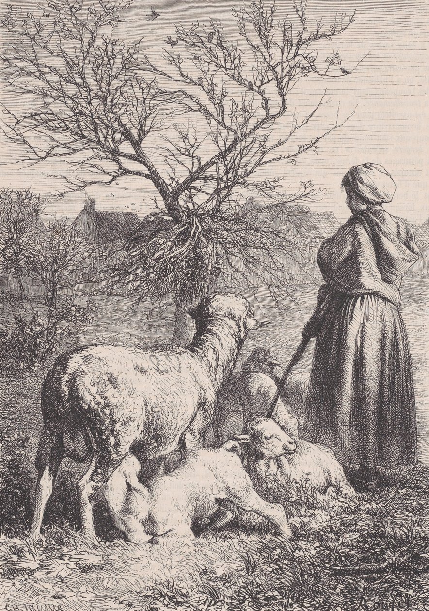 Paimentar, n. 1852. tekijältä François Rouget
