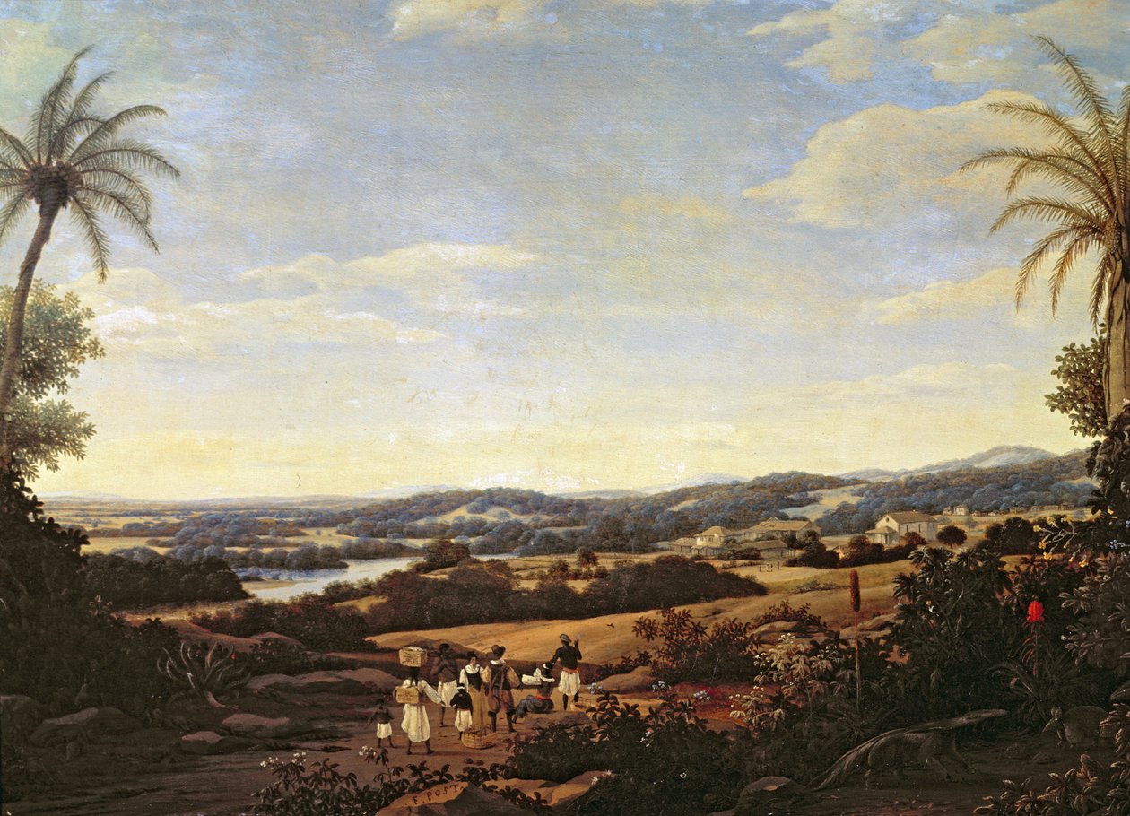 Brasilian maisema ja istutus tekijältä Frans Post