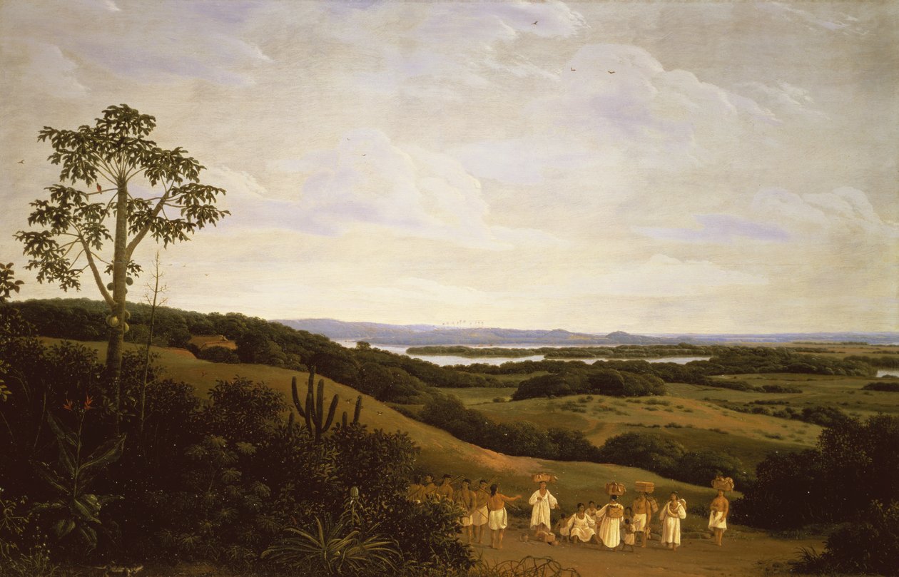 Panoraamanäkymä Brasiliassa ja joki kaukana (61465 pari) tekijältä Frans Post