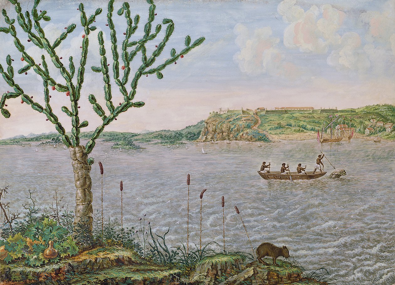 Näkymä Fort Mauriceen Rio San Franciscolla (tussi ja tussi ja wc paperille) tekijältä Frans Post