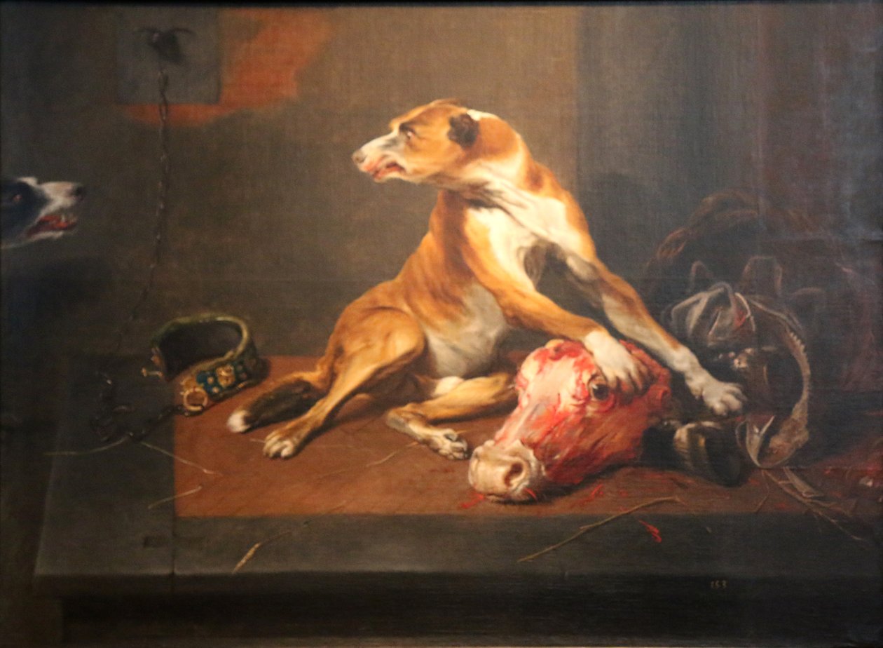 Deux chiens dans un garde-manger tekijältä Frans Snyders or Snijders