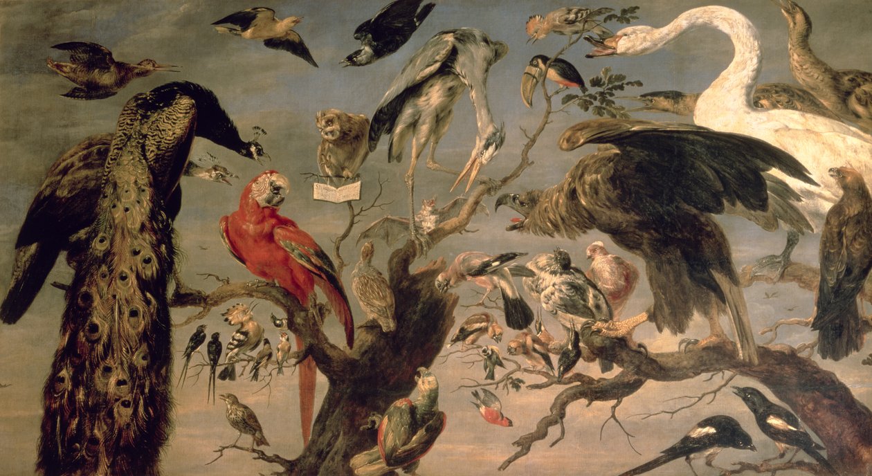 Linnun konsertti tekijältä Frans Snyders or Snijders