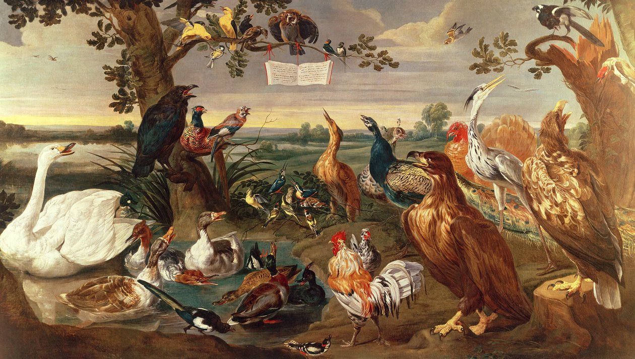 Erilaisia lintuja tekijältä Frans Snyders or Snijders