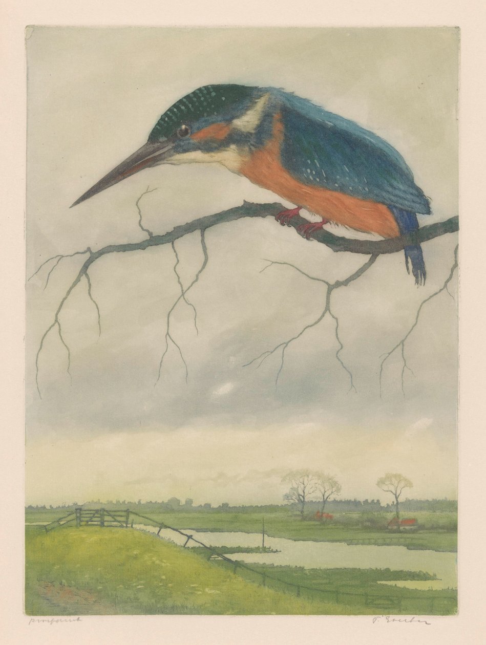 Kingfisher oksalla niittymaisemassa tekijältä Frans Everbag (signed by artist)