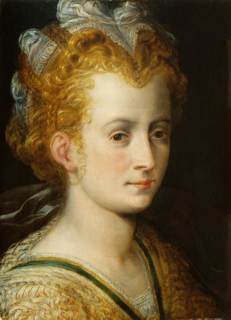 Nuoren naisen päällikkö, n. 1555 tekijältä Frans Floris