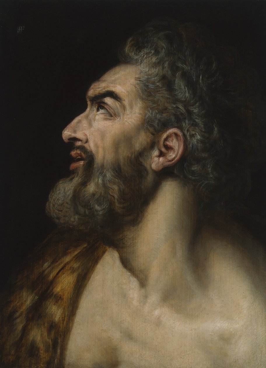 Parrakkaan miehen tutkimuspää, n. 1565 (öljy paneelille) tekijältä Frans Floris