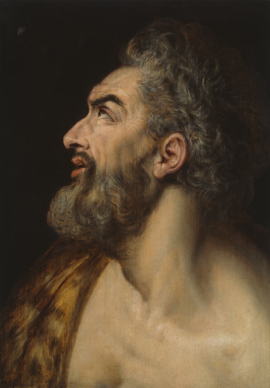 Tutkimus Parrakas miehen pää tekijältä Frans Floris I