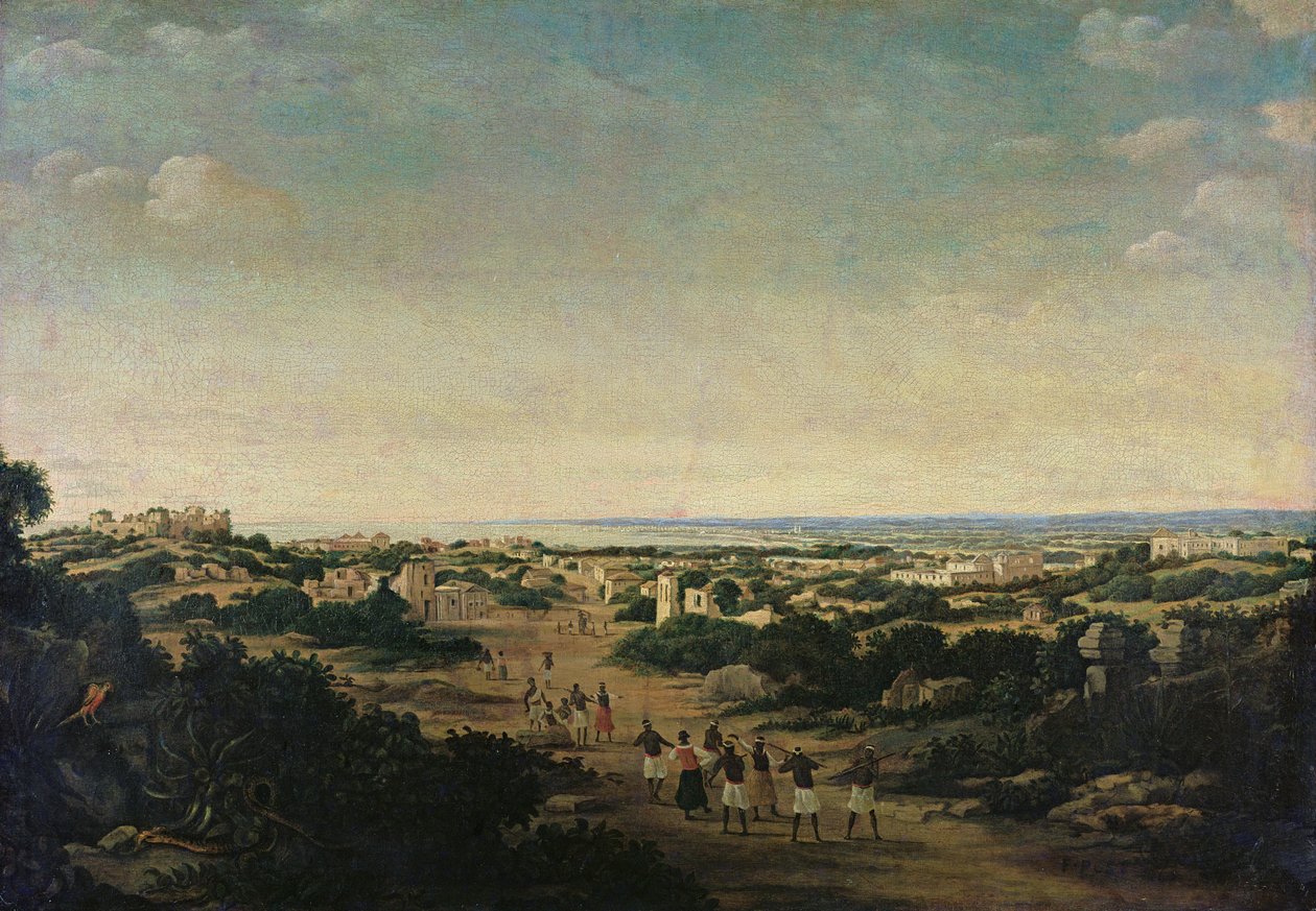Tuntematon kuva tekijältä Frans Post
