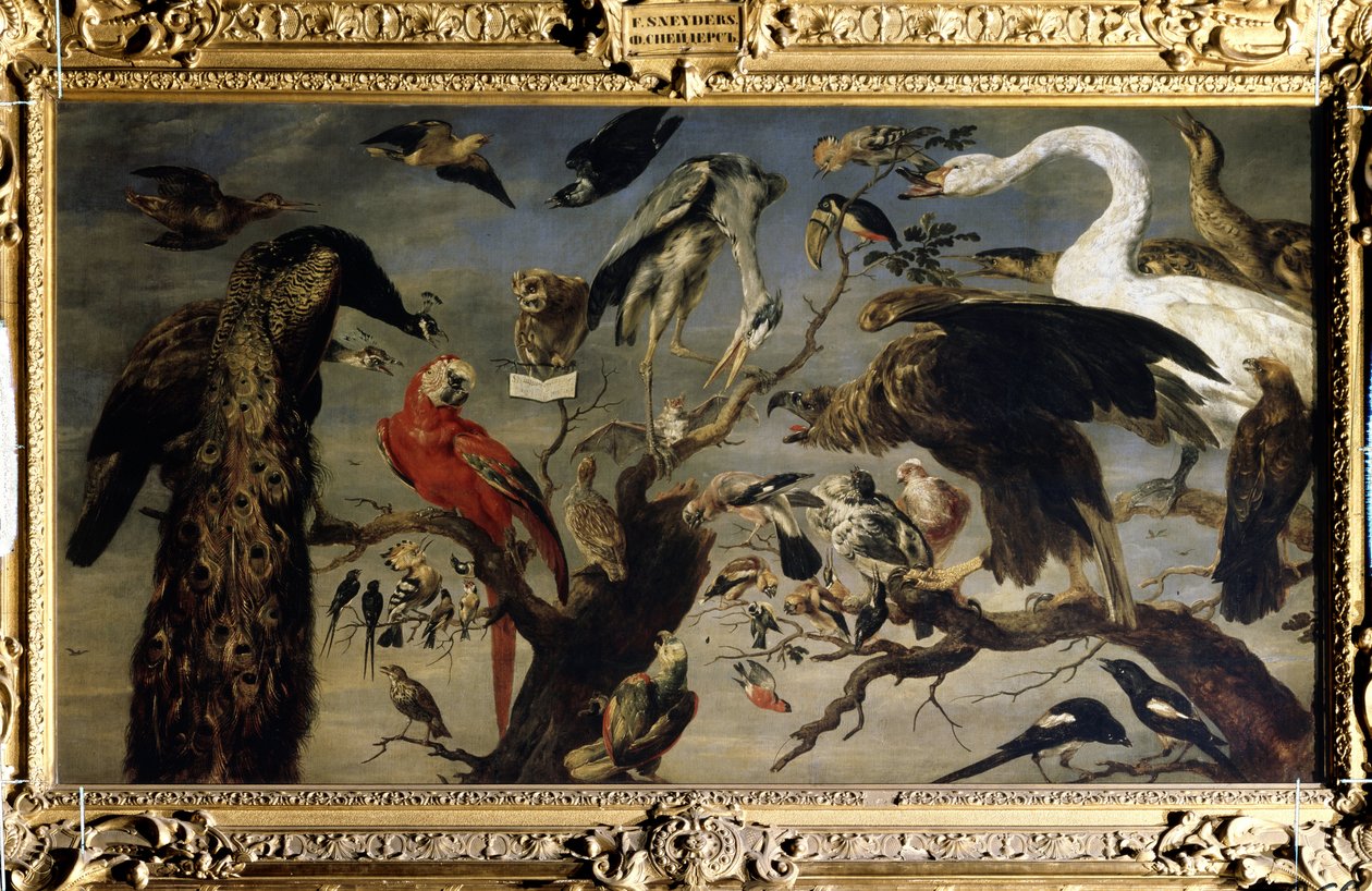 Pieni Paimentar tekijältä Frans Snyders