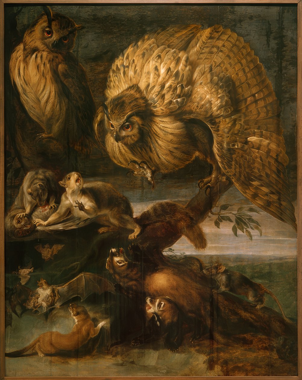 Yön eläimet tekijältä Frans Snyders