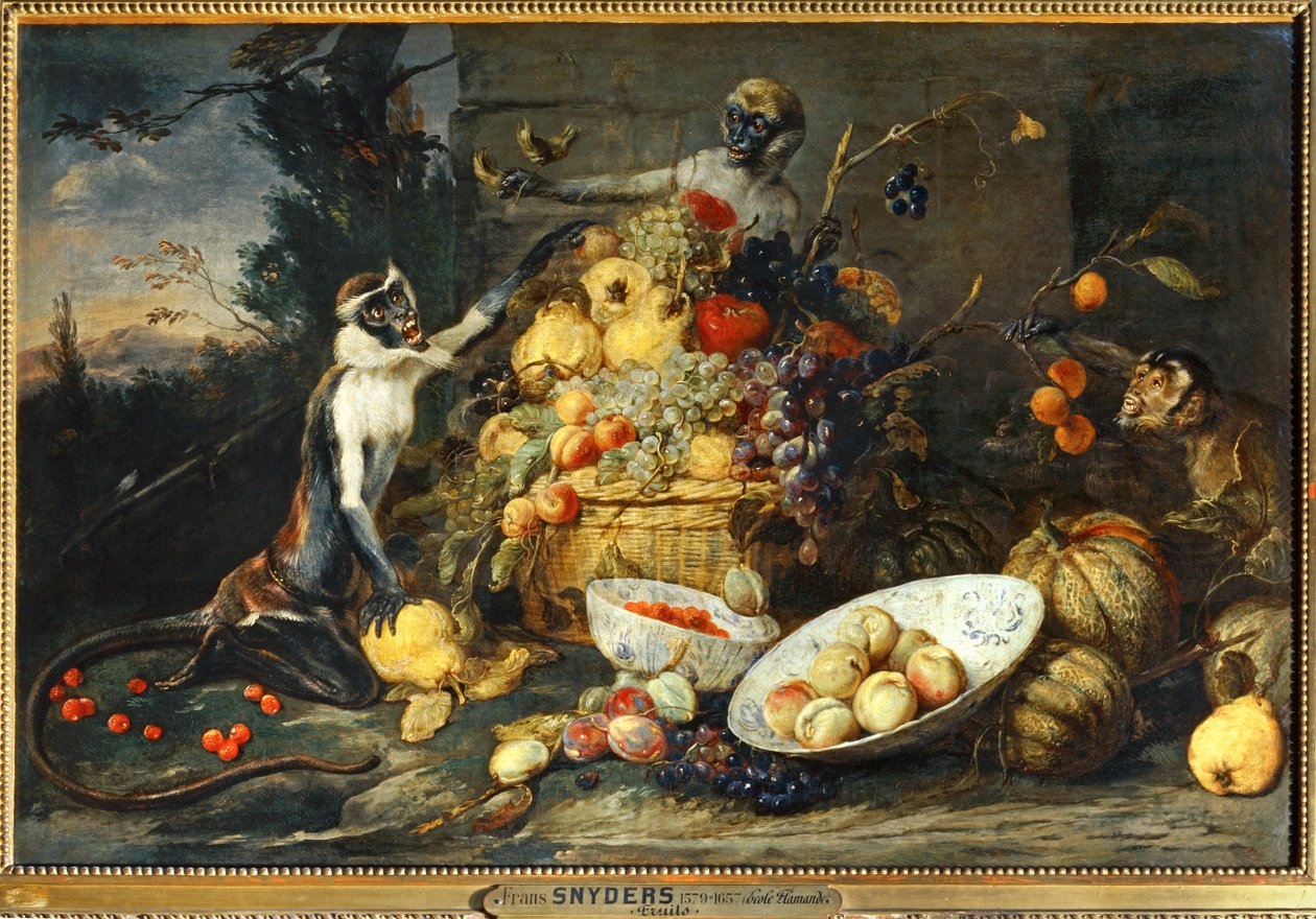 Kolme apinaa, hedelmävarkaat ... tekijältä Frans Snyders