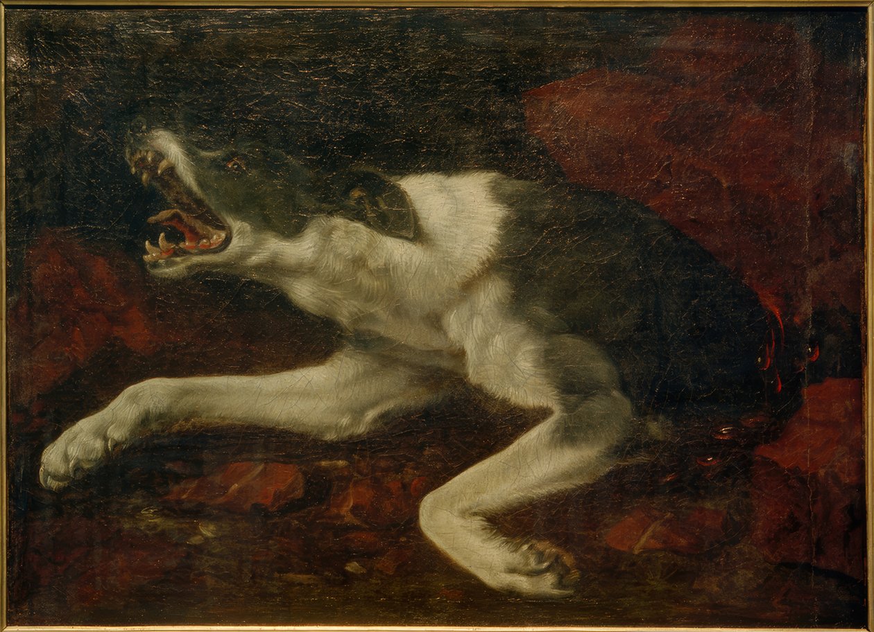 Loukkaantunut koira tekijältä Frans Snyders or Snijders