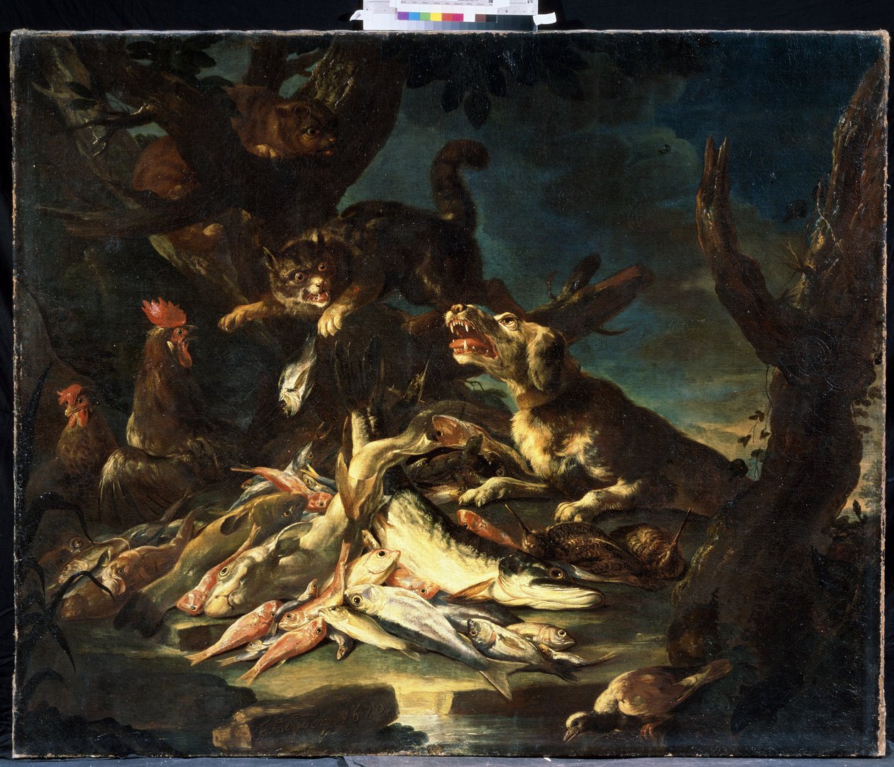 Kalat (kalat). Frans Snydersin (1579-1657) maalaus. Öljy kankaalle tekijältä Frans Snyders or Snijders