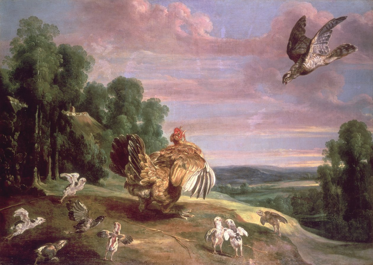 Haukka ja kana tekijältä Frans Snyders or Snijders