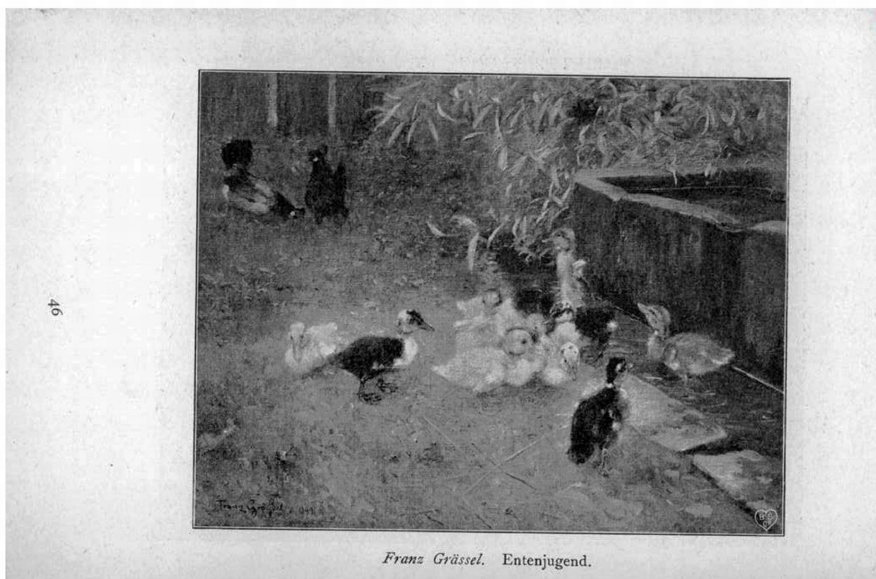 Ankanpoikaset tekijältä Franz Grassel